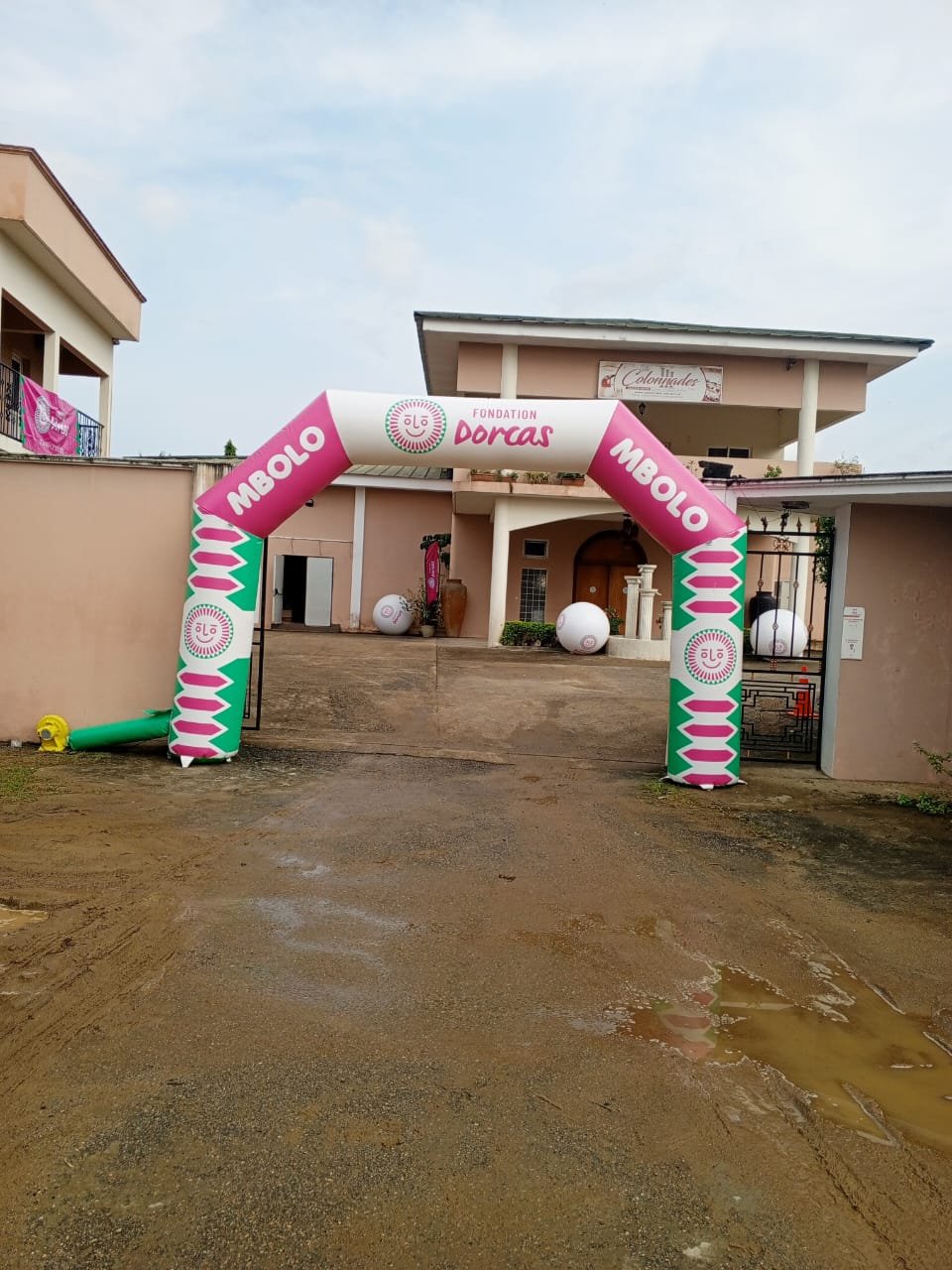 a1f33521-3d7e-4a69-a2d4-5f6731ef728c