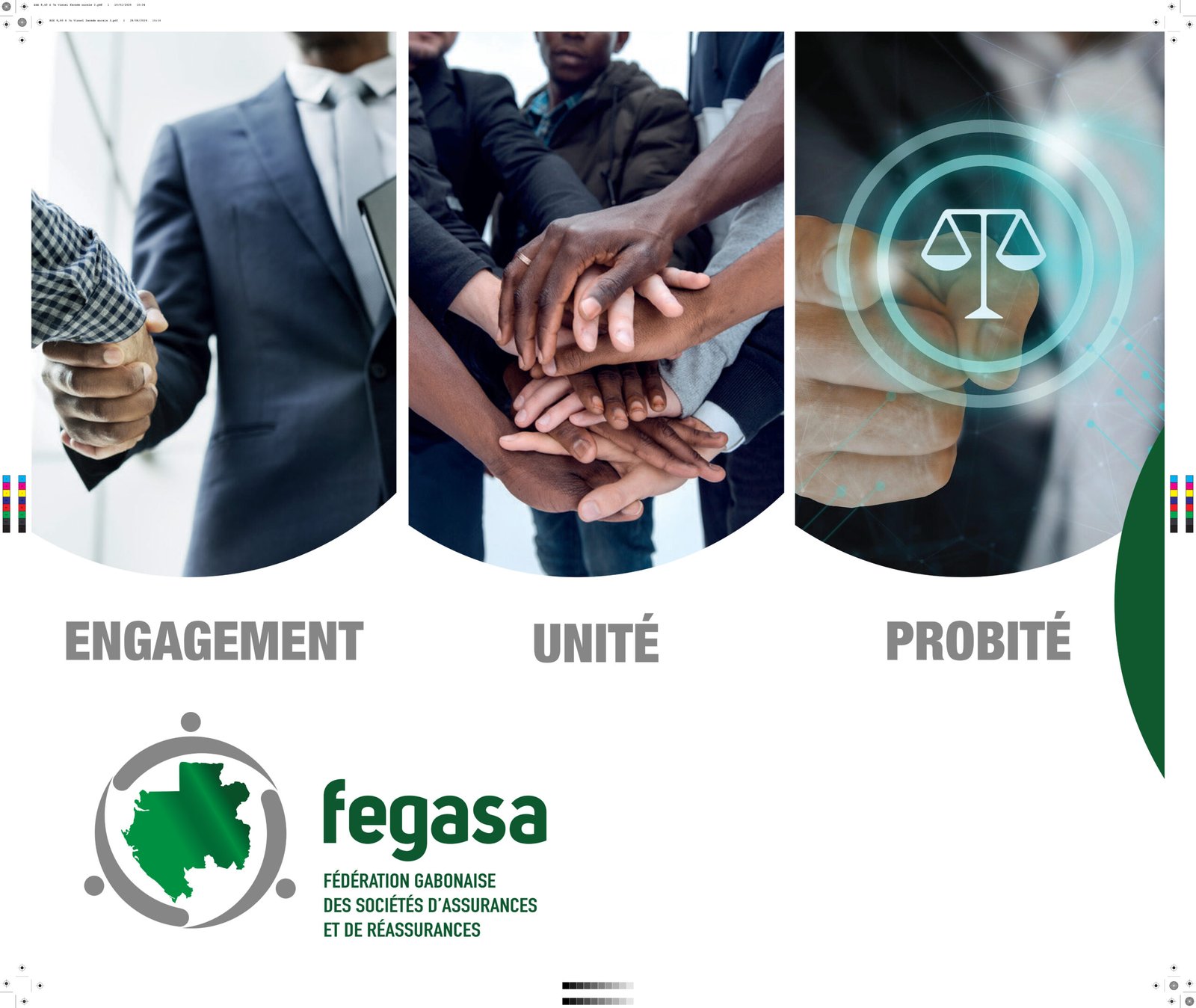 visuel branding FEGASA